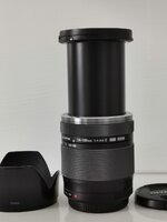 IMG_20250217_084802.jpg