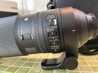 IMG_3200.jpeg
