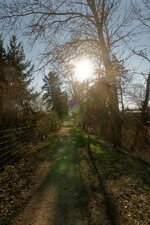 DSC_001924.jpg