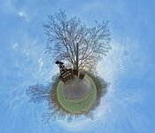 IMG_9812.jpeg