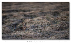 unbenannt (119 von 124).jpg