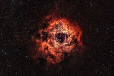 NGC2244.jpg