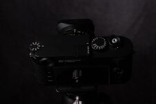 2025_GrautonStudio_Leica_M10-27959.jpg