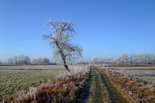 DSCF7234.jpg