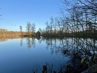 IMG_1977.jpeg