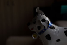 Edel_2025-03-07-0X1A5514.jpg