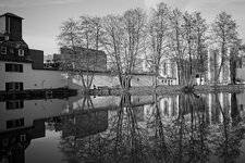 A7C02432_10MP.jpg