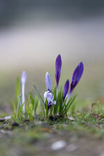 IMG_7869.JPG