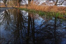 Mönchbruch_IMG_5590_DxO_ji.jpg