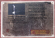 DSC01803_crop.JPG