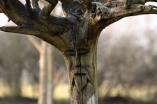 IMG_6004aw.jpg