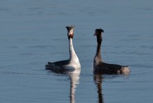 IMG_5688a1z.jpg