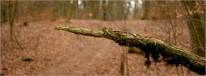 XE4X4089_2480.JPG
