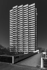 2025-03-05_11-07-45_MA Vogelstang-2439.jpg