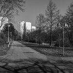2025-03-05_13-43-48_MA Vogelstang-2648.jpg