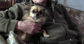 IMG_1131 Daisy- kleiner.jpg