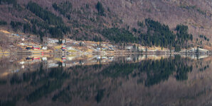 20250311-IMG_5867-6DMKII.jpg
