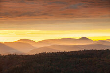 Herbst 20132.jpg