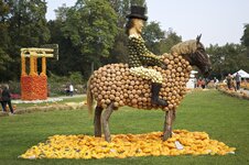 IMG_0442.jpg