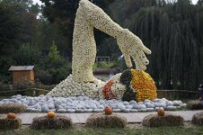 IMG_0445.jpg