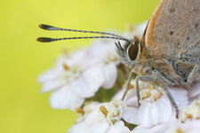 20130929-11 ZS-b-2.jpg