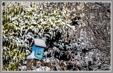 Haus_IMG_5544.jpg