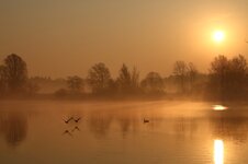 IMG_6217aw.jpg