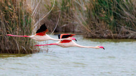 IMG-2025-03-17-1324-CR3.jpg