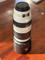 IMG_6963.jpeg