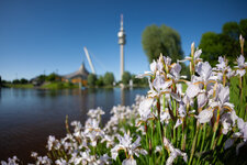 IMG_7924.jpg