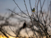 P3240008-Verbessert-RR.jpg