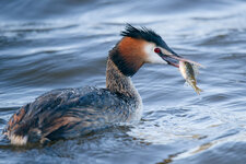 File024_DxO.jpg