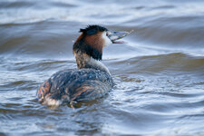 File053_DxO.jpg