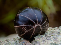 2025-03-02 12-34-12 (B,R8,S10).jpeg