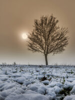 R5A_6149-gg.jpg