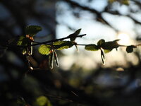 IMG_1467.jpeg