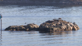 20250310-IMG_5433-6DMKII_01.jpg