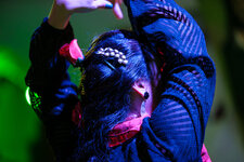 2025-03-26 22-05-04 Flamenco.jpg
