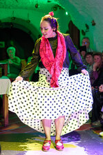 2025-03-26 22-09-09 Flamenco.jpg