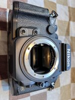 IMG_8952.jpeg