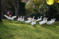 DSC03125.JPG