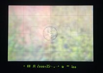 IMG_8943.jpeg