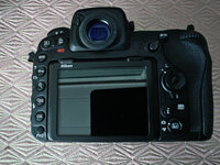 D5002.jpg