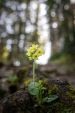 20250412_A6700-First-Try_003_web.jpg