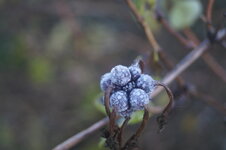 DSC02053.JPG
