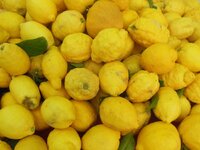 DSCN7242.JPG