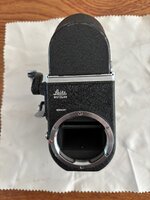 IMG_1387.jpeg