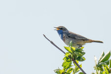 20250415_Sonstiges_SP_0519-Verbessert-RR-Bearbeitet.jpeg