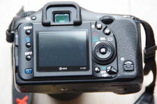 IMGP9676.JPG