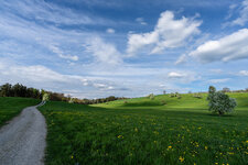 Frühling.jpg